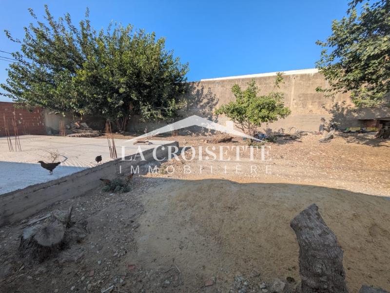 Terrain à La Soukra